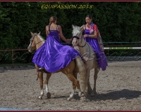 1-13JUIN 0613